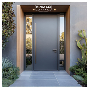 Dark Grey Matte Security Pivot Door