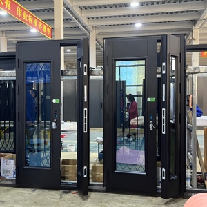 Black Profile Aluminum Entry Door
