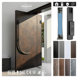 British Exclusive Modern Design Aged Oxidised Exterior Door