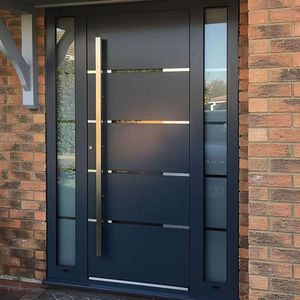 Exterior Entrance Security Pivot Door