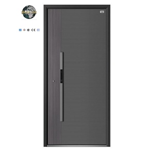 Modern Minimalist Anti-Theft Aluminum Alloy Door Security Entry Side Opening Sliding