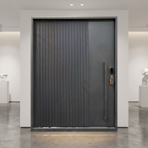 Custom Steel Door Wrought Iron Pivot Door Matte Finished Anti-theft Exterior Door